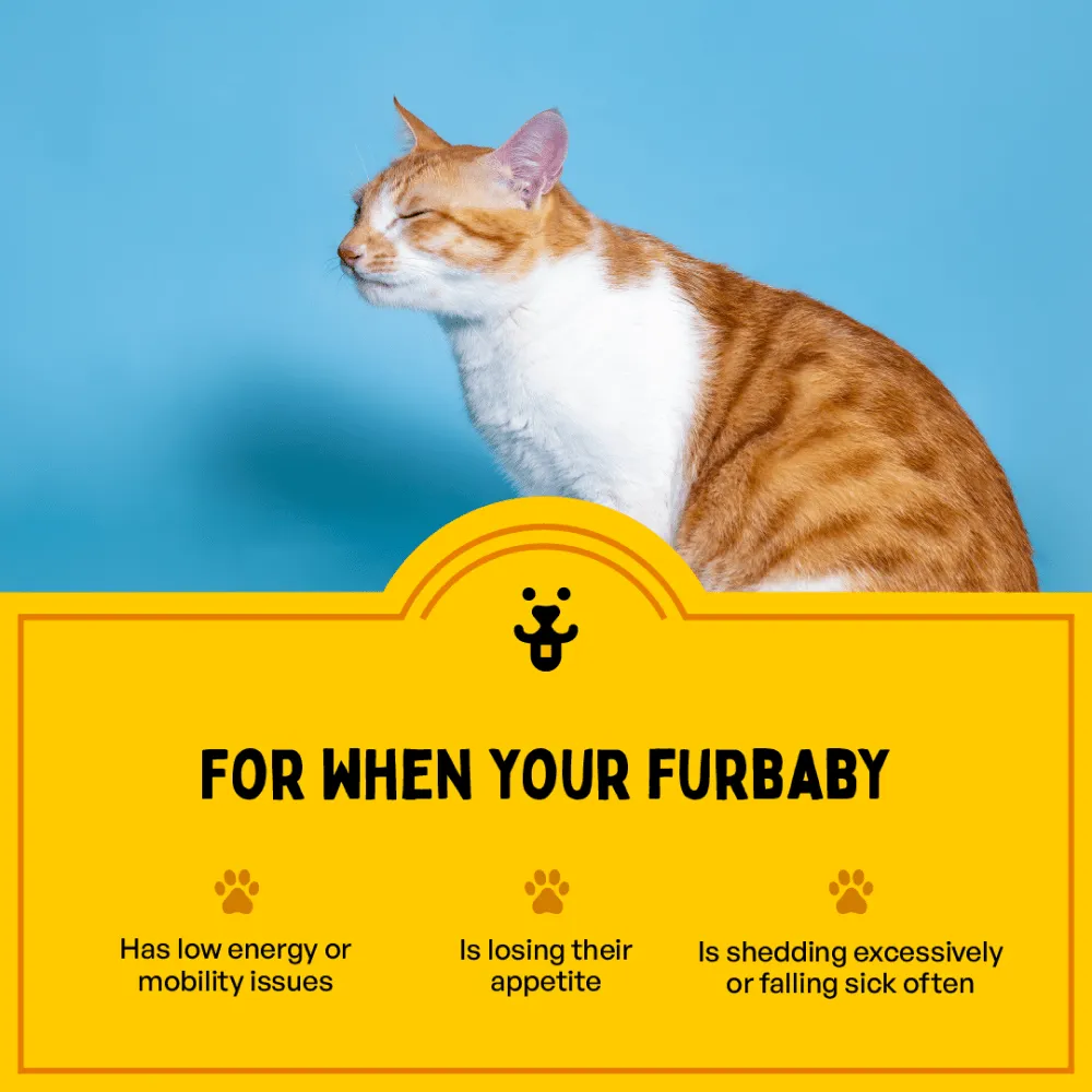 Furlicks Multivitamin for Cats and Dogs